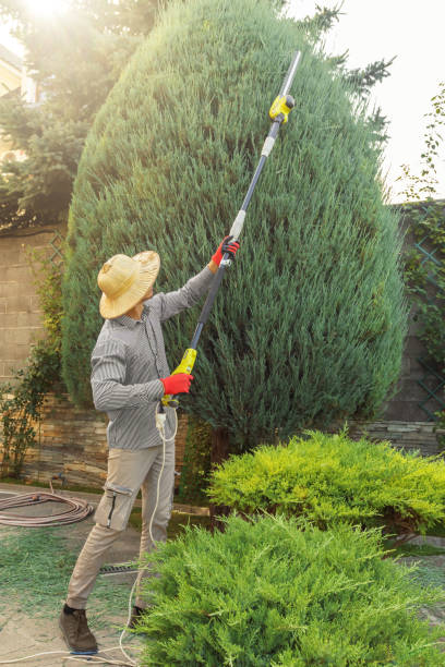 Leaf Removal in Bradley Beach, NJ